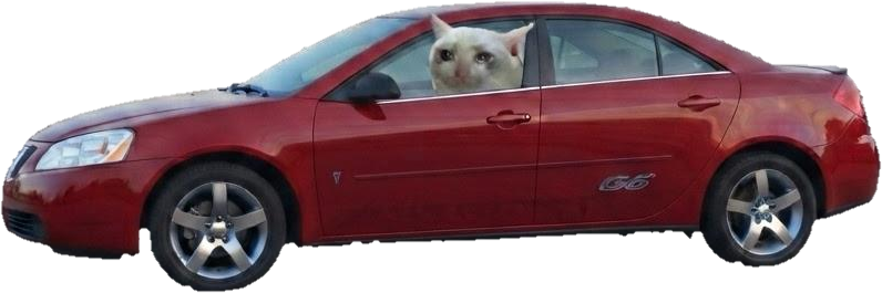 2007 Pontiac G6 with a cat in the window